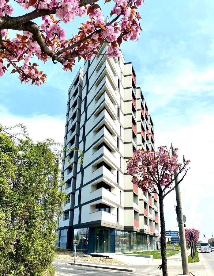 Velvet Home Temesvár Kültér fotó
